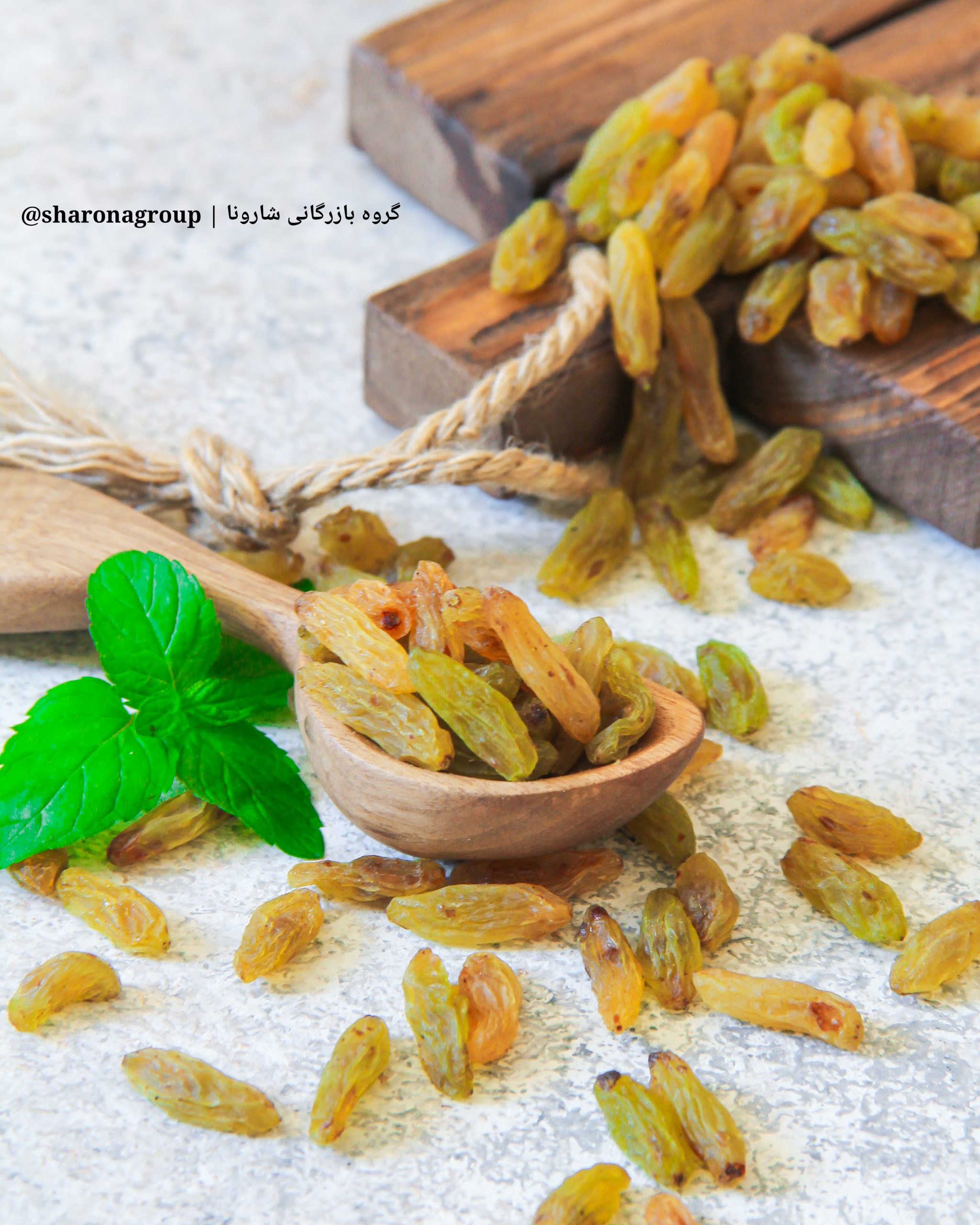 خرید کشمش سبز