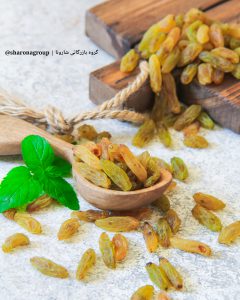 خرید کشمش عمده