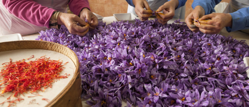 قوانین صادرات زعفران از ایران