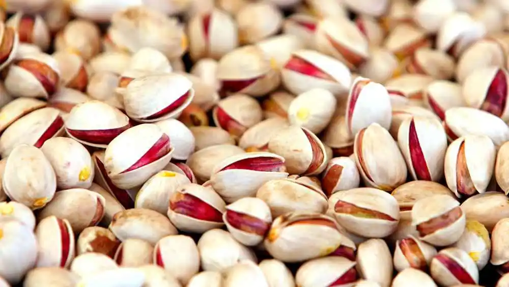 مدارک لازم برای صادرات پسته