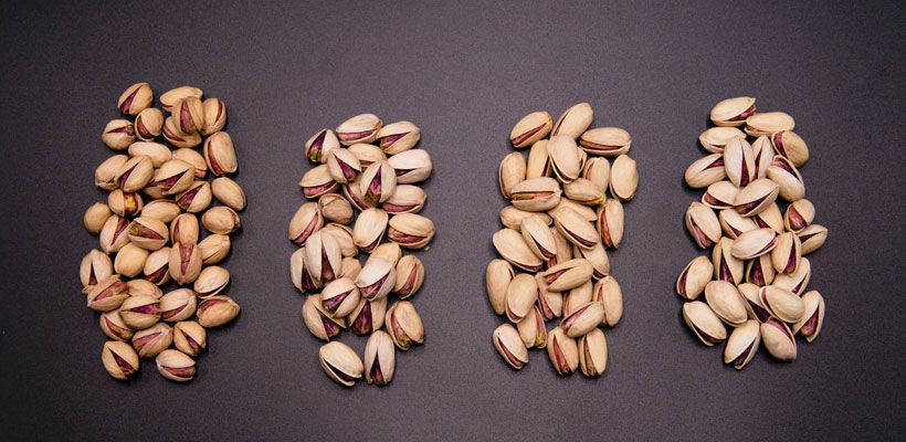 بررسی مدارک لازم برای صادرات پسته
