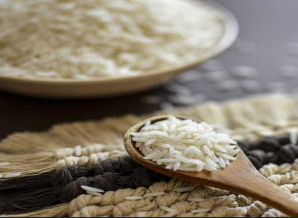 برنج شیرودی